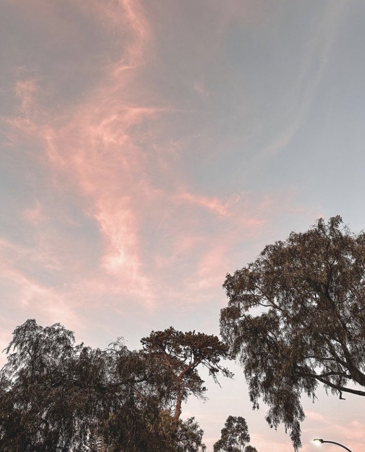 JaycoGeelong's tweet photo. Wake up, travel, swim, laugh, take pictures of the dusk sky, repeat! 🌅

📍Yallingup, WA
📸: @turningleft_

#friendsofjayco #teamjayco #jaycoaustralia #letsgojayco #caravanningaustralia #australianroadtrip #aussietravel #familycaravanning #campingaustralia #familyroadtrip https://t.co/VYWjYk3kqu