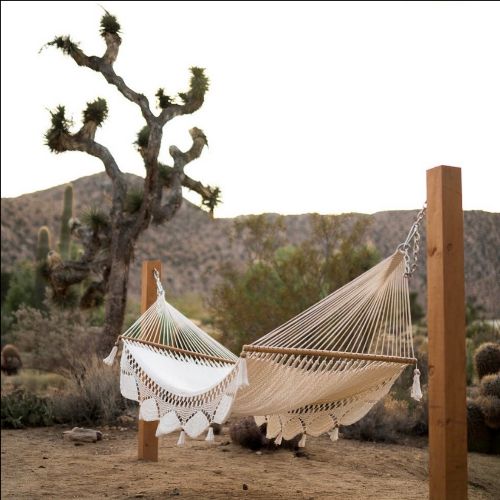 beachbumwisdom's tweet photo. Join us in Joshua Tree 🌵 - https://t.co/dSSH0v9G0L https://t.co/m4A499rpQT