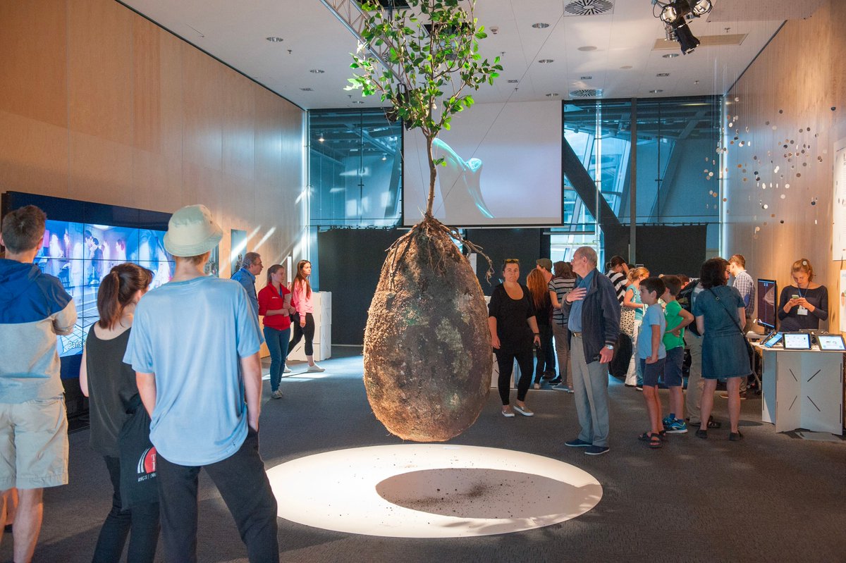 poptime's tweet photo. 🚨 Há 10 anos, designers criavam uma capsula biodegradável feita de bioplástico, para substituir os funerais convencionais.

Dessa maneira, uma árvore é plantada logo em cima, de forma que o corpo da pessoa falecida promova os nutrientes necessários para auxiliar no crescimento da planta. O objetivo é que se crie um cemitério de árvores “sagradas”!