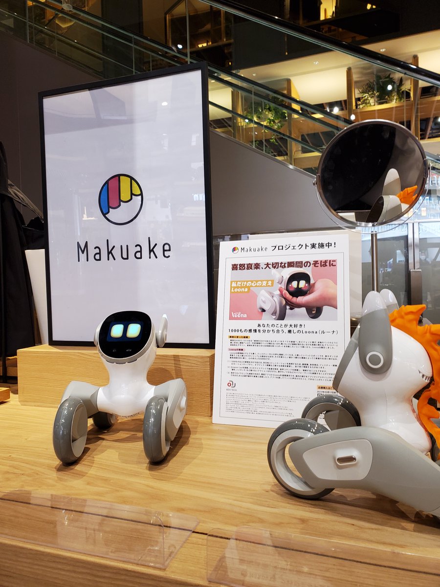Loona PETBOT ペットロボット ルーナ All-inパッケージ