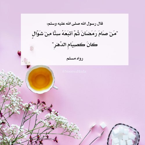 نورٌ وهدى tweet media