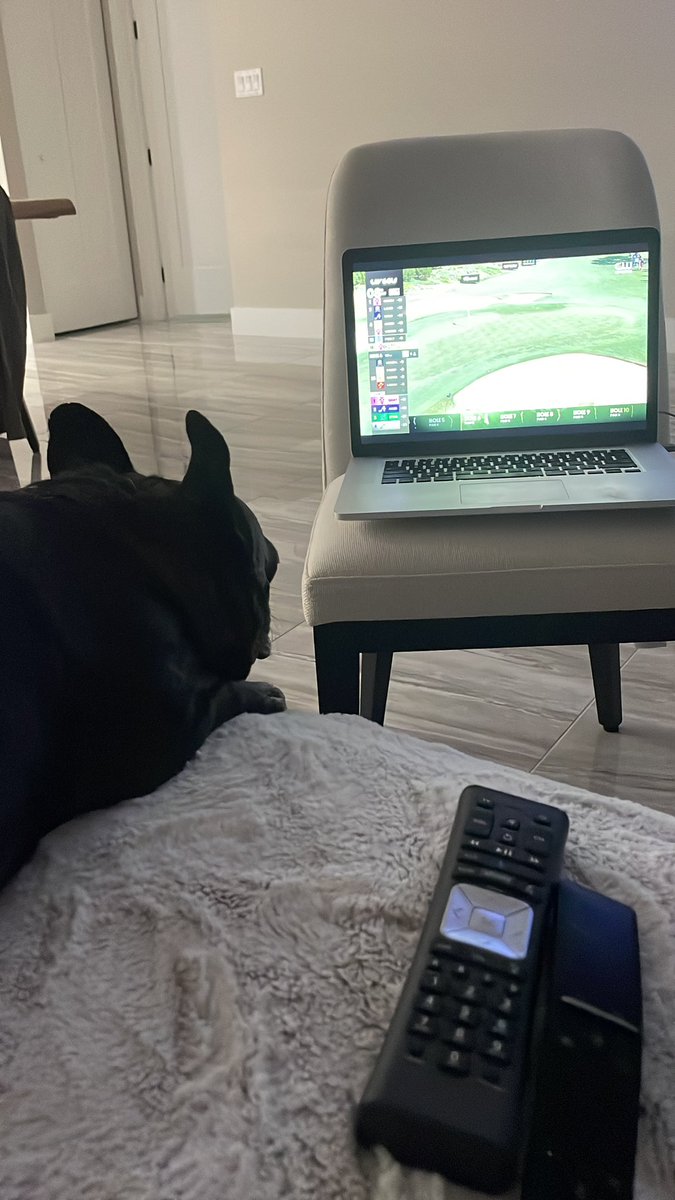 Tganzi72's tweet photo. Louie loves #LIVGolf  #LIVgolfbroadcast  #LIVGolfAdelaide  @livgolf_league https://t.co/R1hmy1gX03