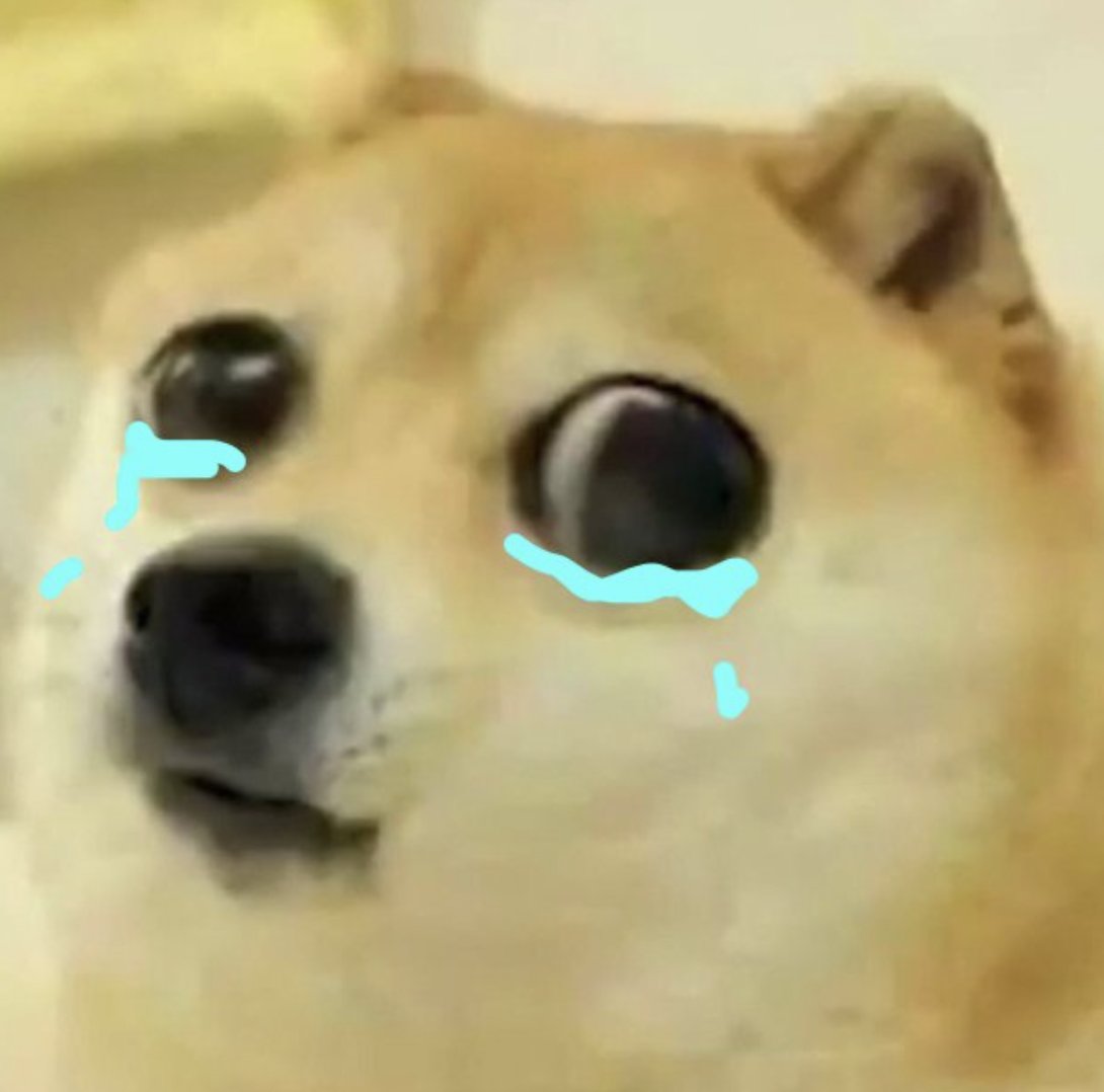 RYDER RIPPS 🪨 tweet media