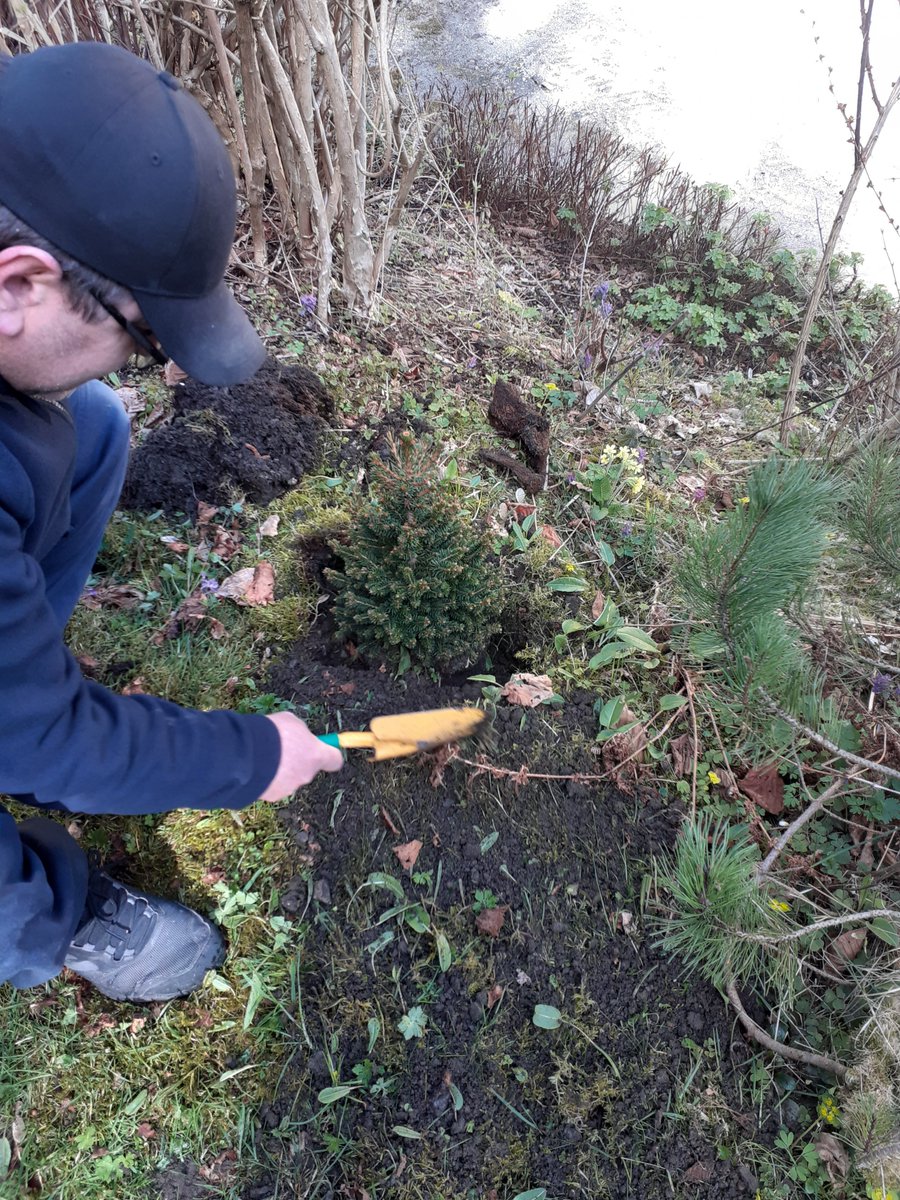 ER_Alpine's tweet image. Celebrated #EarthDay by planting a tree at our #AlpineClub #EnvironmentalAwareness #NatureBeauty #taking care