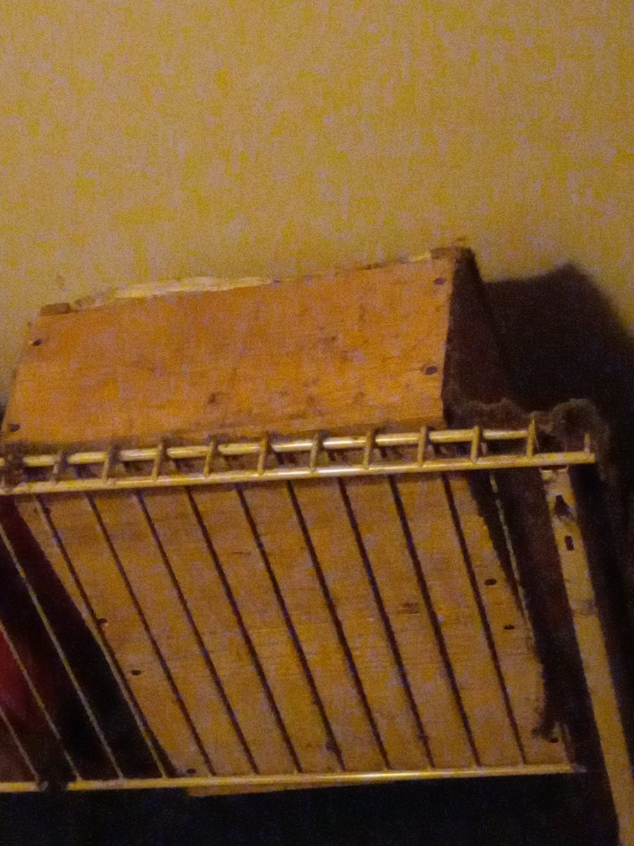 BooMBooMjoose's tweet photo. Any sports cards collectors out there want to buy a box of cards thats been on a shelf for 30 plus years ??? Mostly basketball https://t.co/1OmJYRFaHv