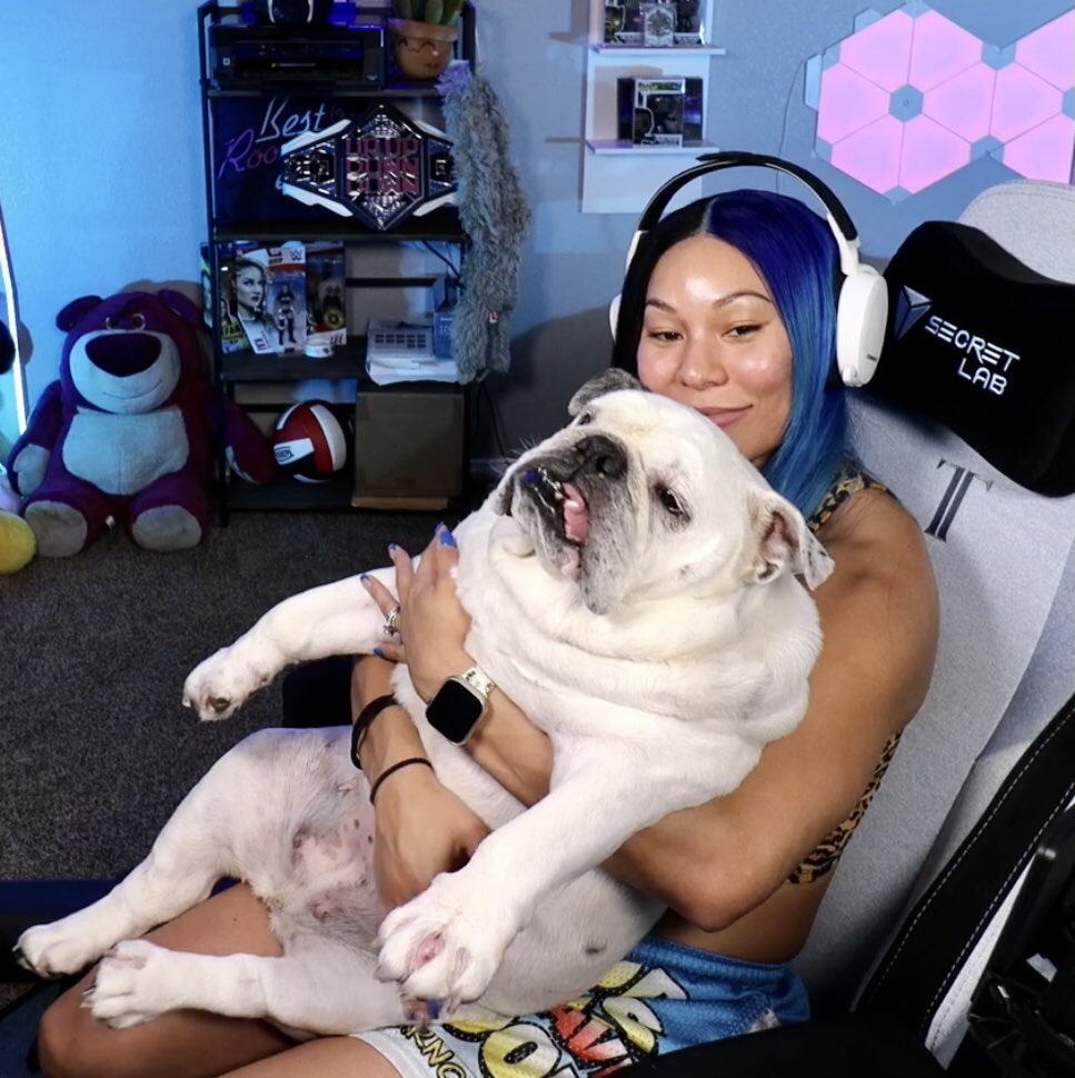 Lovatic5HDores7's tweet photo. @ItsMeSYLEE HIT 31 THOUSAND MIA MILITIA MEMBERS TONIGHT ON TWITCH!!! So of course we HAD to celebrate with a special rare appearance by Princess Jolene Bell Lee 😍🥰💙❤️ https://t.co/DznVeLtEUQ