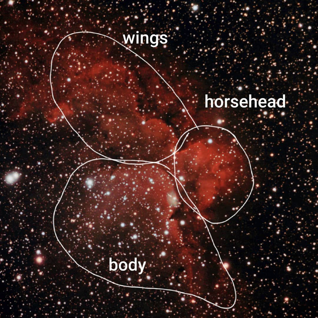 space_alx's tweet photo. It’s already named by the flying horse nebula 

#Astrophotography https://t.co/GolSwCl4XG