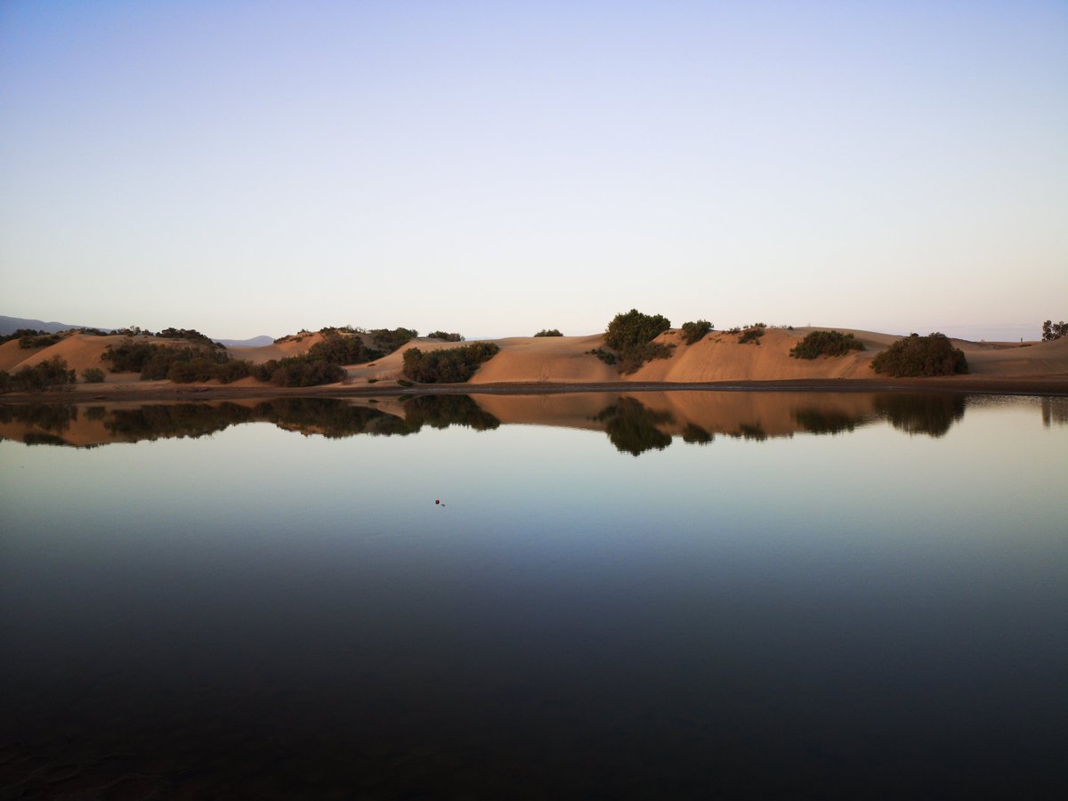 JM ᴄᴀɴᴀʀɪɪ ⵣ❂ tweet media