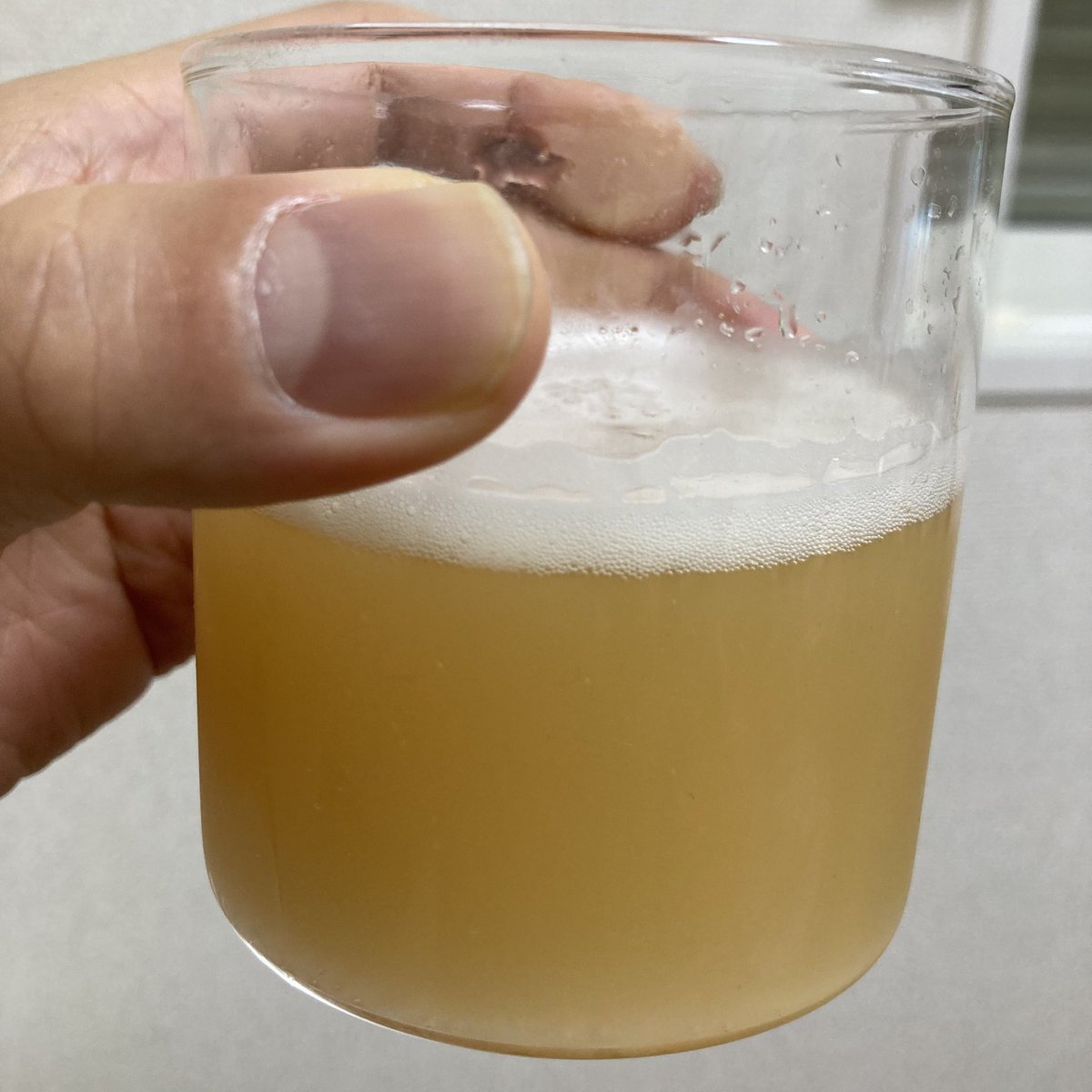 新神戸で買ってきた六甲ビールを見て「膿尿みたいだな！ハハッ」と失言なう。