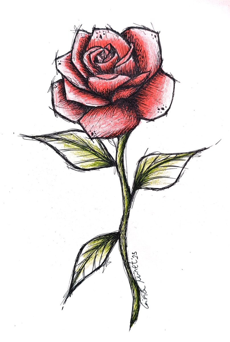 Molt bona Diada de Sant Jordi!📚🌹🥰
Us comparteixo el dibuix preciós de @GinaMiret!
#santjordi #diadelllibre #amor #rosa