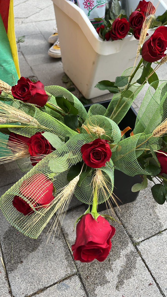 AE_Montcabrer's tweet photo. El Montcabrer estem ja venent roses a la nostra parada! Vine a buscar la teva davant de l’Ajuntament

Sempre a Punt! 💚❤️🌹🌹 https://t.co/o8jVrCQ6Ex
