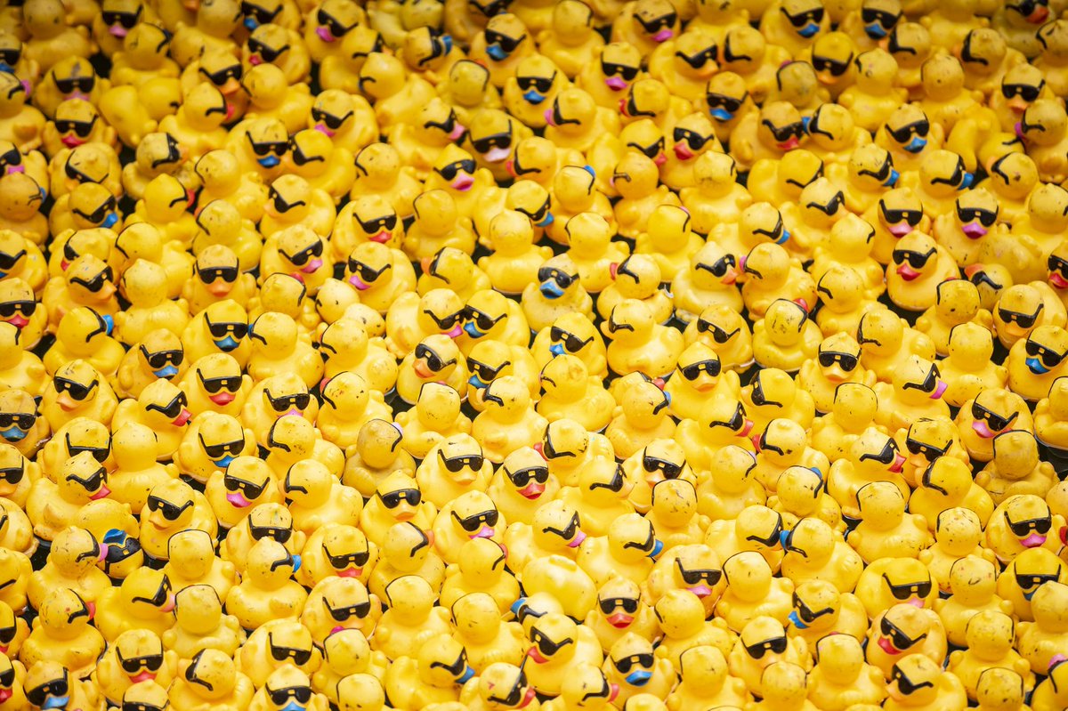 Jasmine_meson's tweet image. keep mining #gaganode