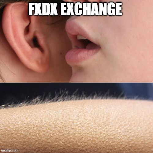 NftGtreaz's tweet photo. @fxdxdex https://t.co/6I2BCW9V9m