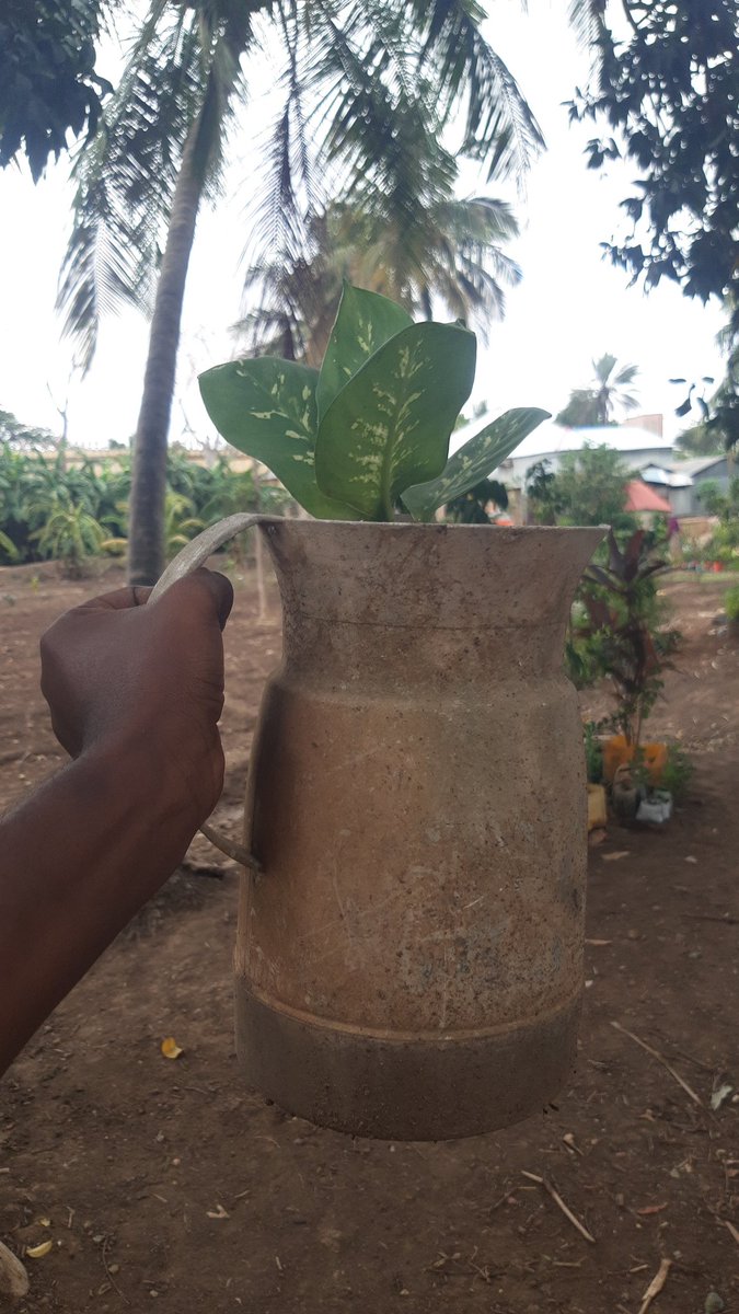 Mohamed26500090's tweet image. What you see trash ,Some one else sees Beneficial .♻️🌿
📍#Afgoye 📸
 #Reutilize
#Reduce
#Recycle