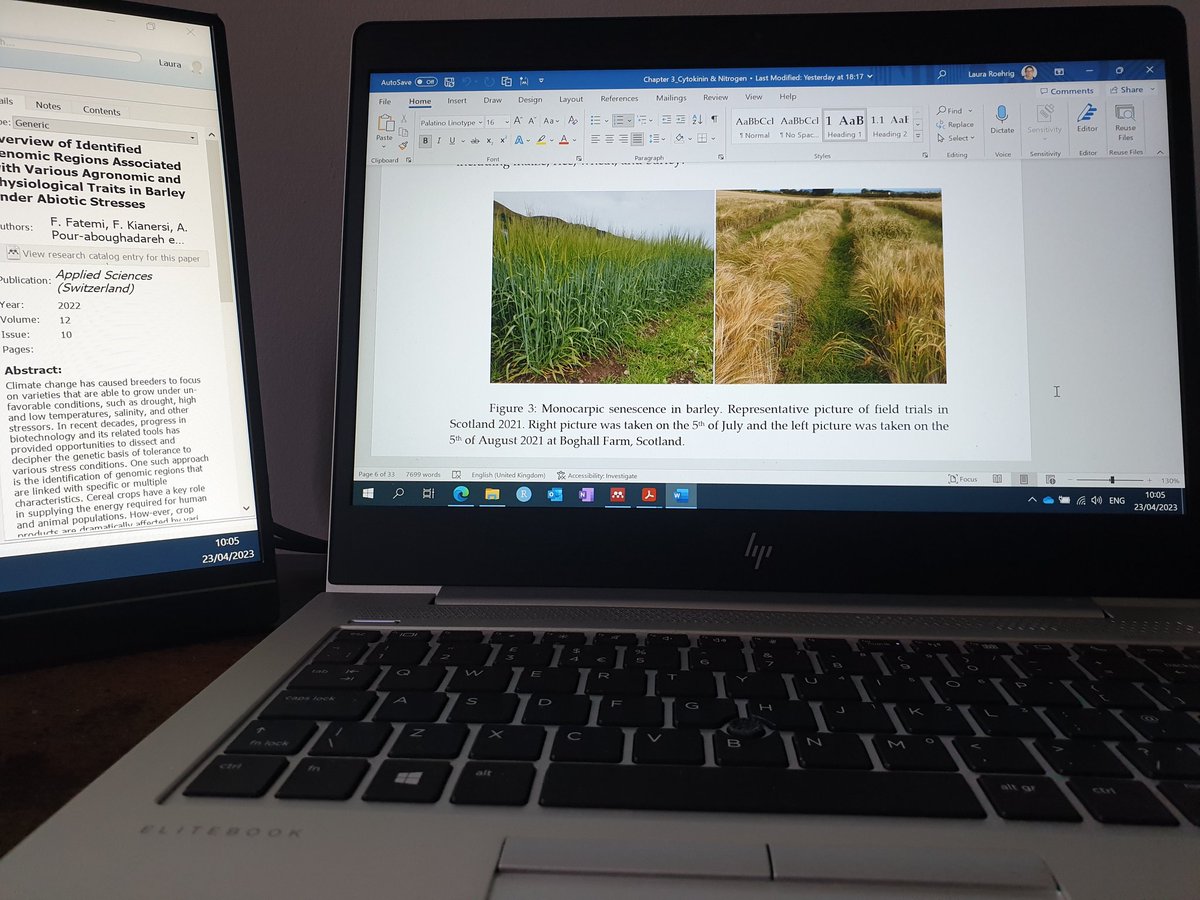 roehrig_laura's tweet photo. Unfortunately, no #barley field season for me to plan this year 🥺 In the meantime, I'm reminiscing about my past trials via #thesiswriting and being grateful for all the nice pictures I've taken of my babies to build a nice story ❤️
Wishing all #plantpathologists a 👌 season! https://t.co/k66ur5NAiG