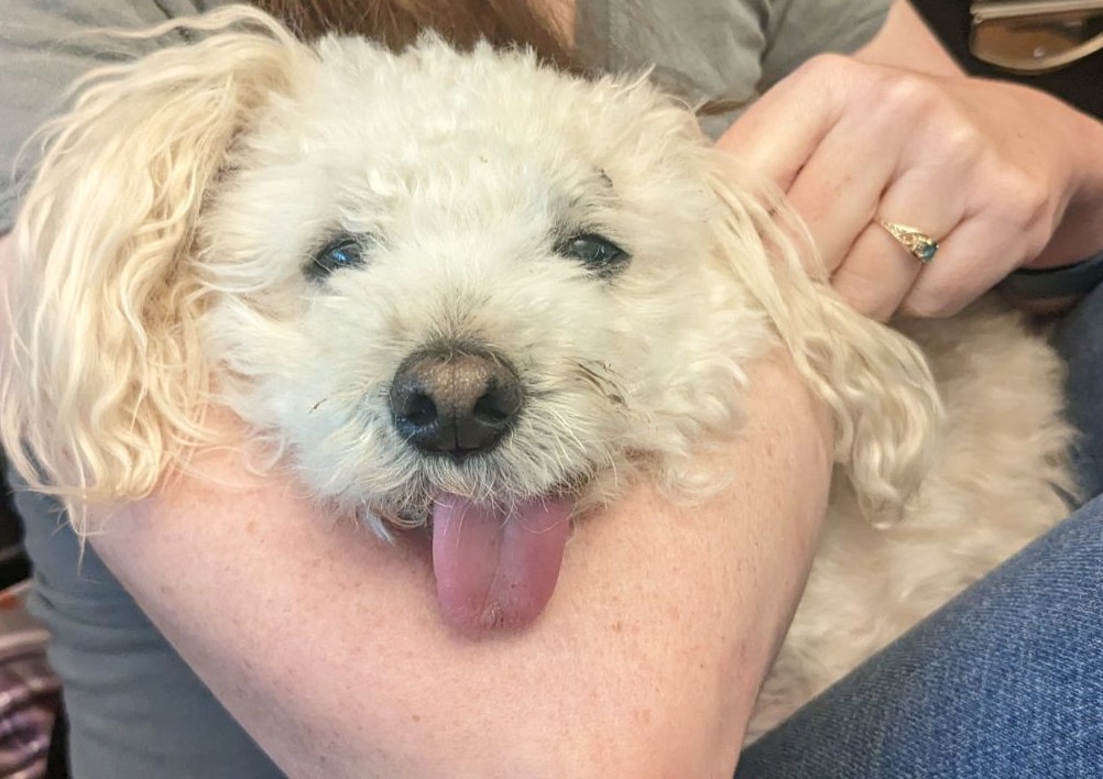 HAPPEE at UNC tweet media