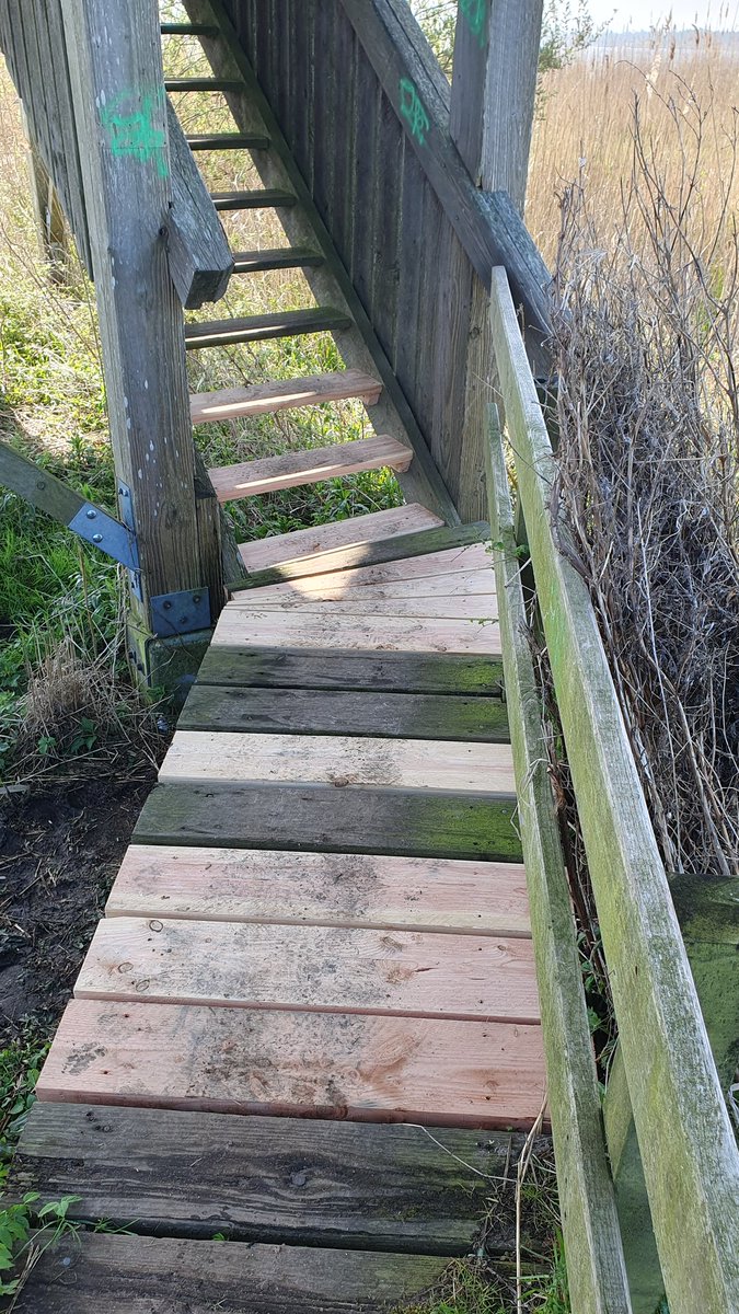 marcoglastra's tweet photo. De kijktoren van @GR_Landschap aan het Zuidlaardermeer is weer open. Bijna de helft van vloerplanken en traptreden moest vervangen worden. Goed werk @HGL_MirjamAalfs! https://t.co/zZMGH8o6Mj