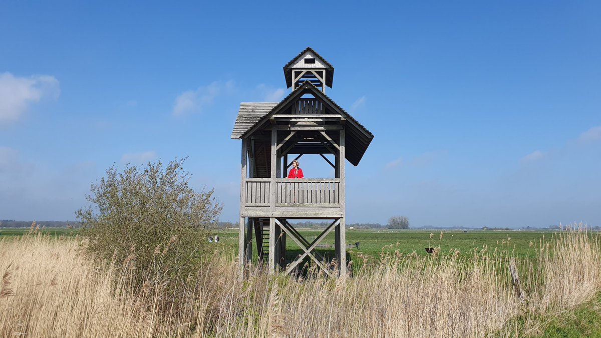 marcoglastra's tweet photo. De kijktoren van @GR_Landschap aan het Zuidlaardermeer is weer open. Bijna de helft van vloerplanken en traptreden moest vervangen worden. Goed werk @HGL_MirjamAalfs! https://t.co/zZMGH8o6Mj