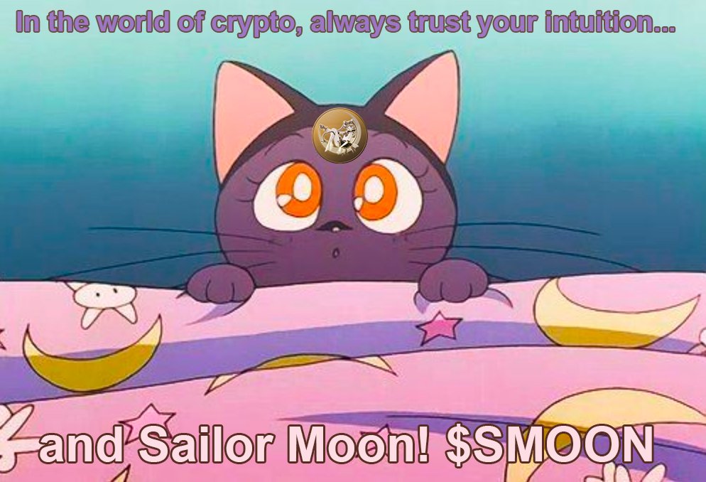 SailorMoonEth's tweet photo. $SMOON https://t.co/PP7RrN117d