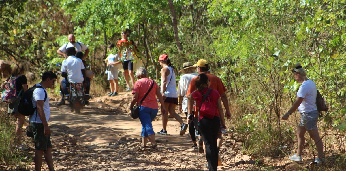 MlambeSafaris's tweet photo. #ForestWalkTours, #trekkinginmmalawi, in #Malawi offers one of the best breath taking experience.
#VisitMalawi,
#trekkinginmmalawi
#Forestwalkinmalawi.
#TravelWithMlambeSafaris
For more details info@mlambesafaris.com
++265999113389 https://t.co/tVWXPMQf61