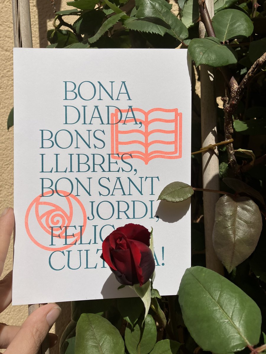 Senyor Estudi tweet media