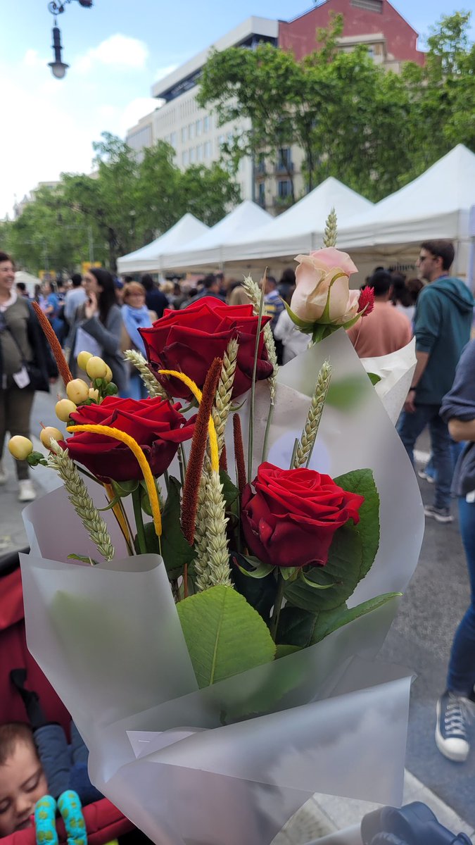 Bona Diada de Sant Jordi #SantJordi2023 #tradicions