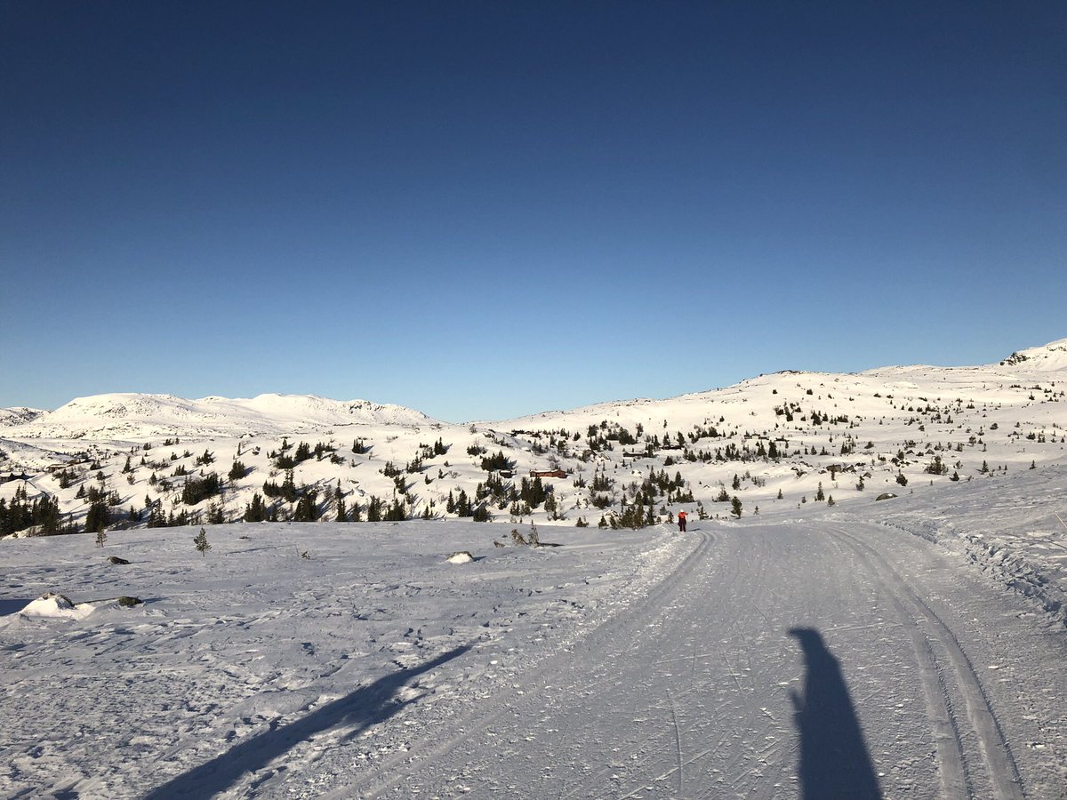 Zayed Yasin tweet media