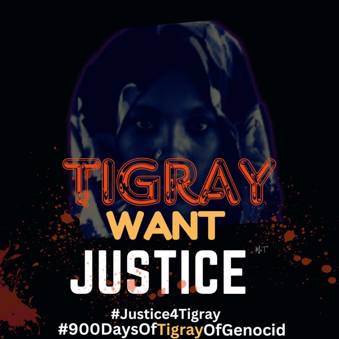 GualSeguh's tweet photo. Ethiopian &amp; Eritrean troops along with Amhara militias, have weaponized rape against 130,000+ Tigrayan women + girls. These victims have been seeking justice for +  #900Days now,Please Act #Justice4Tigray . #900DaysOfTigrayGenocide @IntlCrimCourt @UN @EUCouncil @SecBlinken https://t.co/bp0yTow33u