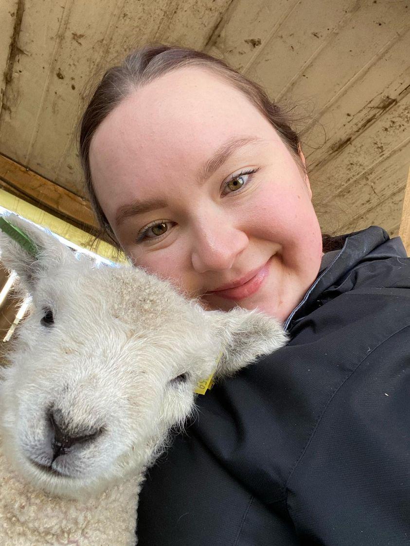WigfieldFarm's tweet photo. Here's Eliza, 1 of our fab Level 5 Animal Management students with a Ryeland lamb โค๏ธ
@dailysheep1
#selfiesunday #sundayvibes
#ryeland #lamb #farm https://t.co/zuWXBr4c74