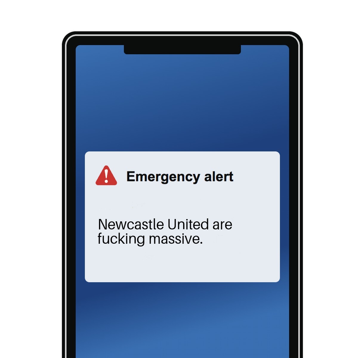 Anyone else get their emergency alert text through?

#NUFC