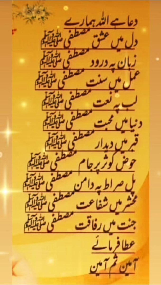 سدرہ ملک🐦 tweet media