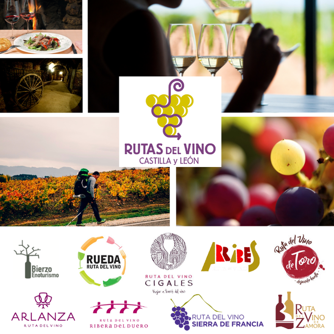 Rutas del Vino de Castilla y León 
¿Las conoces? 
🍷 <a href="/RVSierraFrancia/">Ruta del Vino Sierra de Francia</a>
🍷 <a href="/RutaVinodeRueda/">Ruta Vino de Rueda</a>
🍷 <a href="/RutaVinoArlanza/">Ruta de Vino Arlanza</a>
🍷 <a href="/RutaVinoRibera/">RutaVino RiberaDuero 🍇</a>
🍷 <a href="/bierzoenotur/">Bierzo Enoturismo</a>
🍷 <a href="/rutavinoarribes/">rutavinoarribes</a>
🍷 <a href="/RutaVinoCigales/">Ruta del Vino Cigales</a>
🍷 <a href="/Rutavinotoro/">RutadelVinodeToro</a>
🍷 Ruta Vino Zamora
🍇🚶‍♀️turismocastillayleon.com/rutasdelvino
#DíadeCastillayLeón