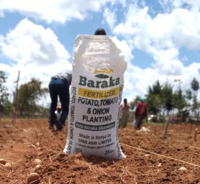 farmeronfire1's tweet photo. Hi farmers,

Do you know the 4Rs of fertilizer application?
1.  applying the right type
2.  at the right rate
3.  at the right time
4.  in the right place

Otherwise unajiwaste 

What do you have in the farm right now ?
Get free advice on the ideal Baraka fertilizer 
#fertilizer https://t.co/8oygN5TeoP