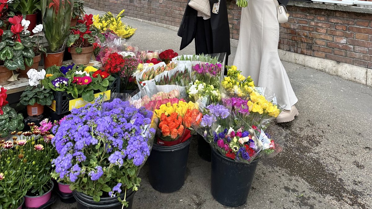 150___mmm's tweet photo. イタリアの花屋さんが素敵すぎた https://t.co/itDV81wfZ5