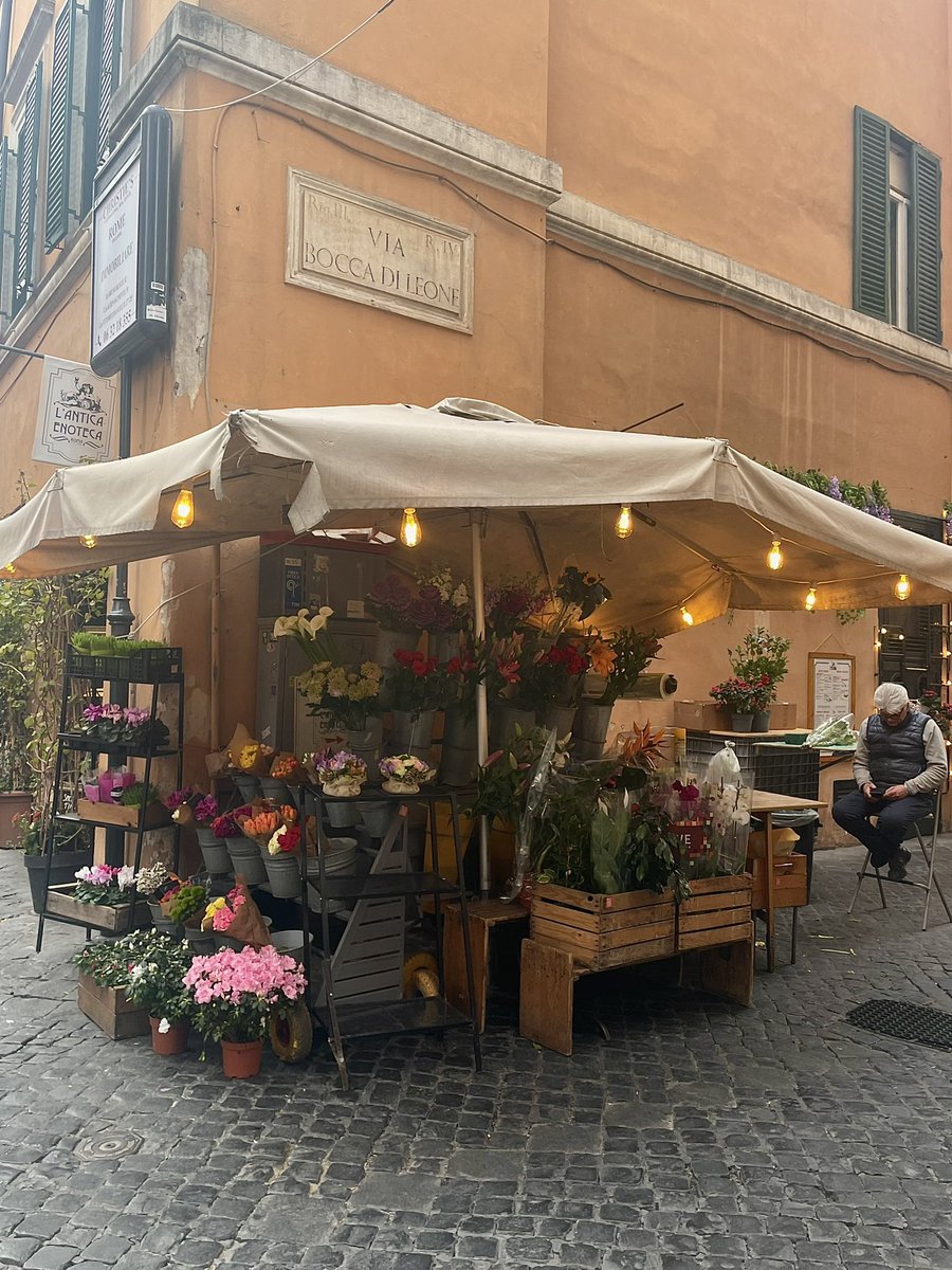 150___mmm's tweet photo. イタリアの花屋さんが素敵すぎた https://t.co/itDV81wfZ5