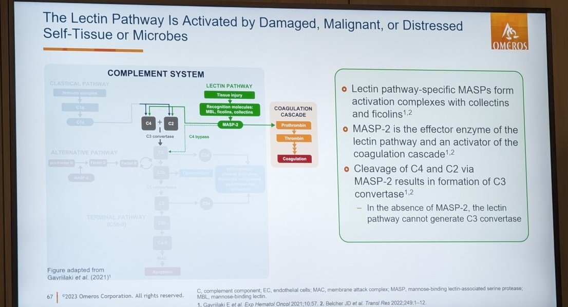 Cell4Cure's tweet image. Additional target for #TransplantAssociatedTMA #LectinPathway #Narsoplimab from @OmerosCorp . May be less infection risk? compared to commonly used downstream #C5Blockade #EBMT23 🇫🇷