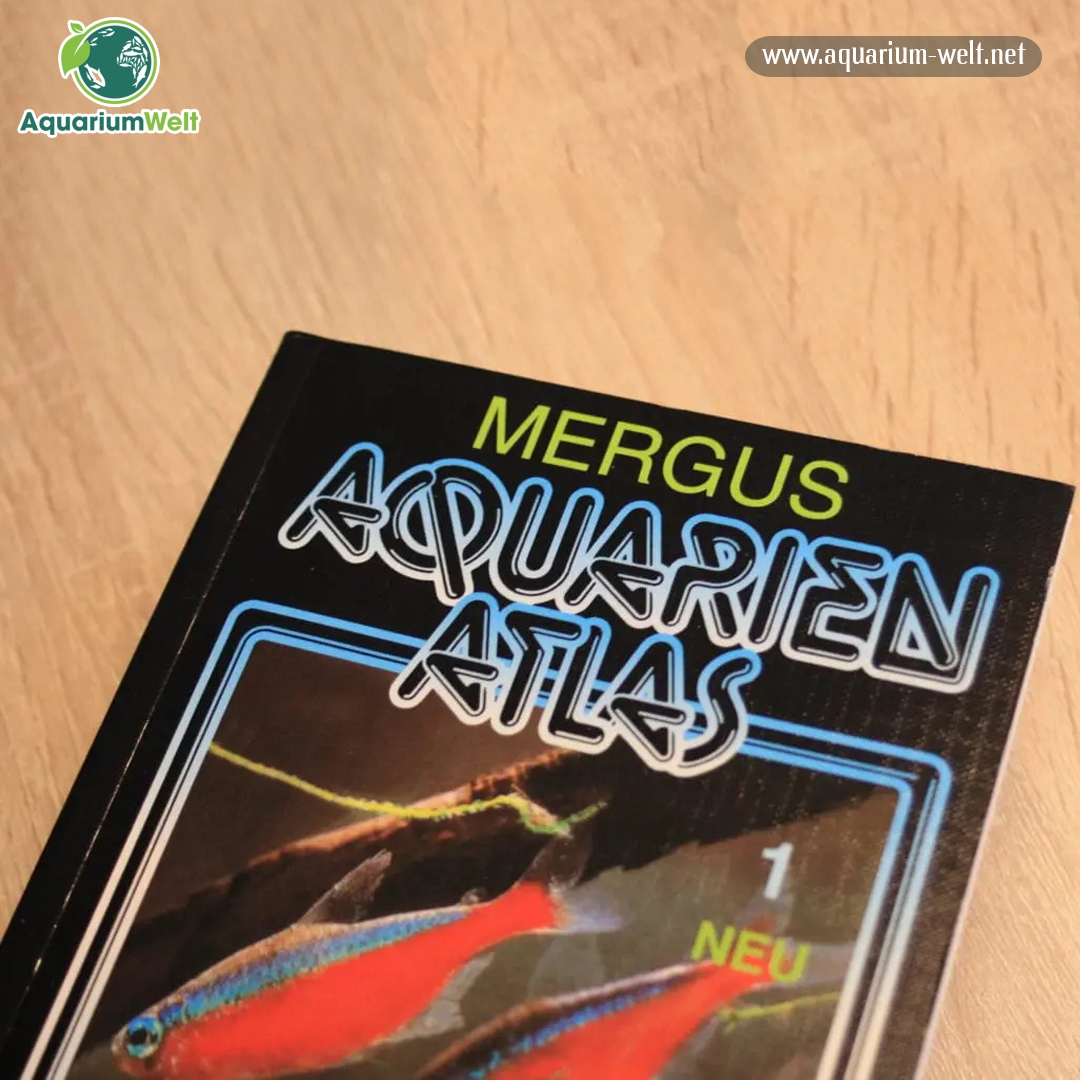 1977 erschien der 1. Mergus Aquarien Atlas, der seitdem 14 Mal überarbeitet wurde. Die 15. Ausgabe (2007) enthält 660 Süßwasserfische, Garnelen, Krabben, Krebse, Frösche, Muscheln und Schnecken. Details unter cutt.ly/T5dFR35
.
.
#Aquarium #Fische #Fischhaltung