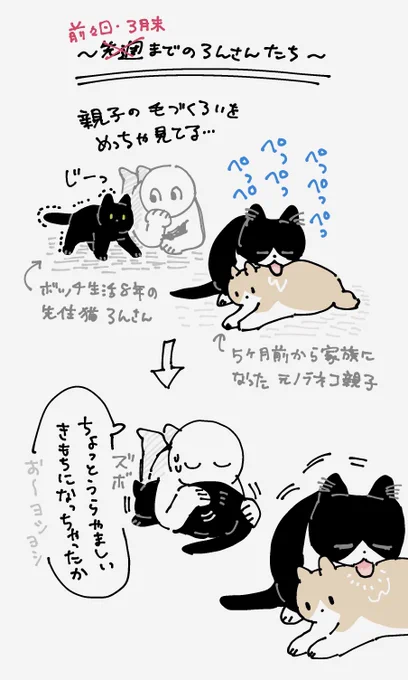 ろんさんの毛づくろいチャレンジの続報 (1,2枚目は再掲) https://t.co/GfJn583VMy