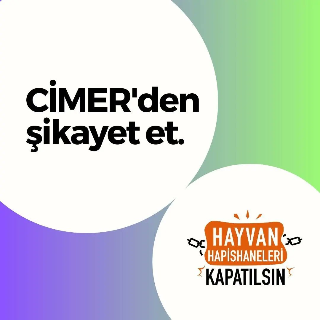 hayhapkap's tweet photo. Gaziantep "Hayvanat Bahçesi"ndeki hak ihlallerini şikayet etmek ve bu hapishaneyi kapattırmak için hazırladığımız Cimer metni aşağıdaki uzantıda. Cimerden nasıl şikayet edeceğini öğrenmek için ikinci gönderiye bak.
https://t.co/yYRqGO5iS4
#hayvanhapishanelerikapatılsın https://t.co/sKuZOhsv0A