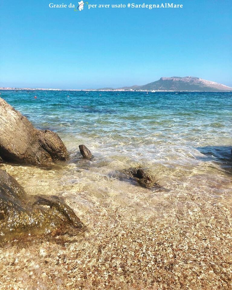 SardegnaAlMare's tweet photo. web: https://t.co/CyekaOsjWZ Panorama Golfo Aranci โ ๐ ๐ # SardegnaAlMare #spiaggia #sardegna #sardinia #ichnusa #golfoaranci #golfoarancimusicfestival #golfoarancimonamour #golfoarancinascosta #golfoarancimylove #instasardegna #igers_sardegna #instagood #instalike #ilovesโฆ https://t.co/ah7yIPfklI