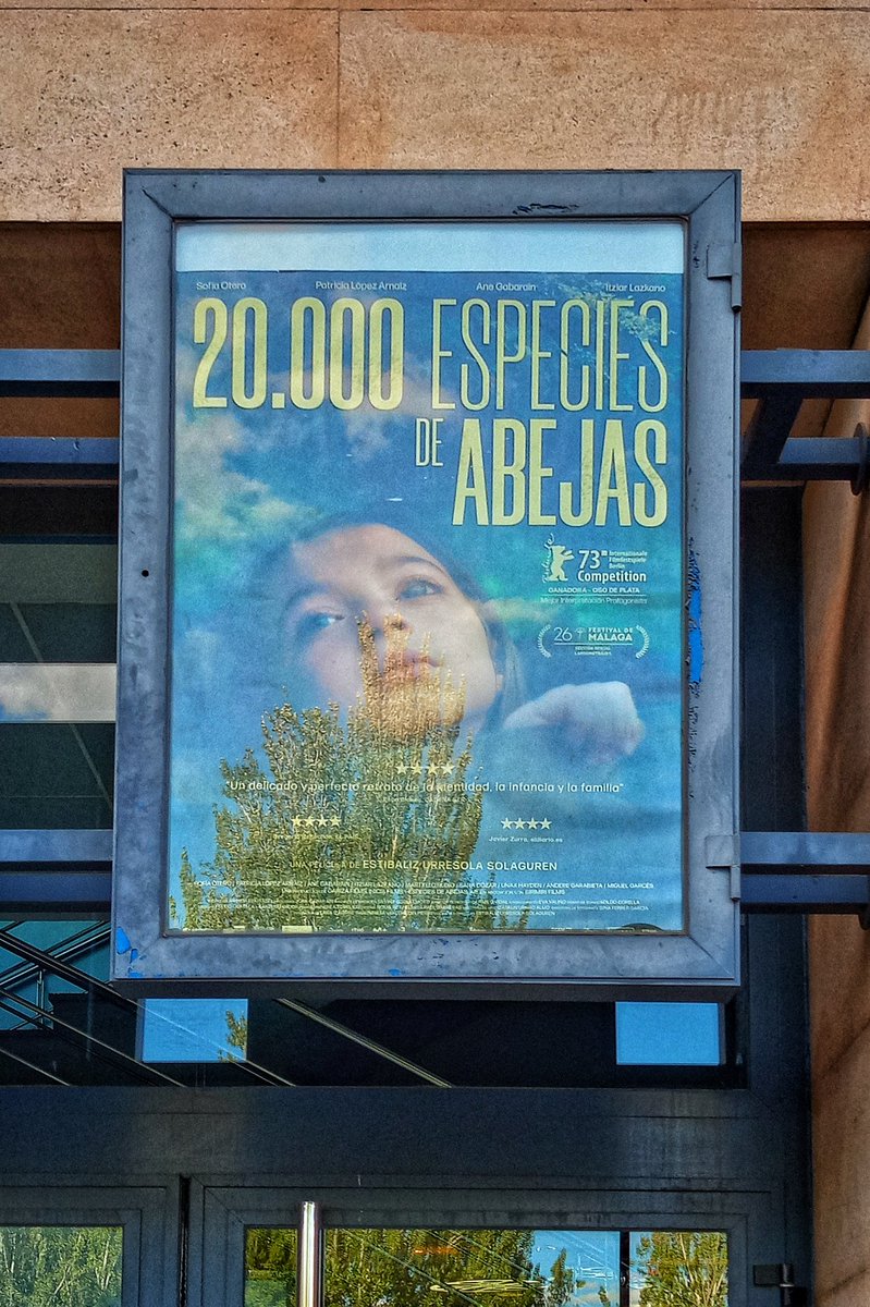 Maryei_2's tweet photo. Gran interpretación de Sofía, gran película. Sin palabras. #20000EspeciesDeAbejas #osodeplata https://t.co/sBGm6DnWKL