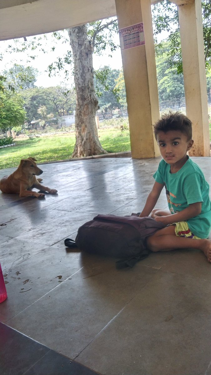 Inayatha2's tweet photo. #DogsMenace requestin d concerned authorities 2 take immediate action at Indira park.... Danger 2 kids & public.... @KTRBRS @KTRoffice @GHMCOnline @CommissionrGHMC @GadwalvijayaTRS https://t.co/eAGAXzMYkg