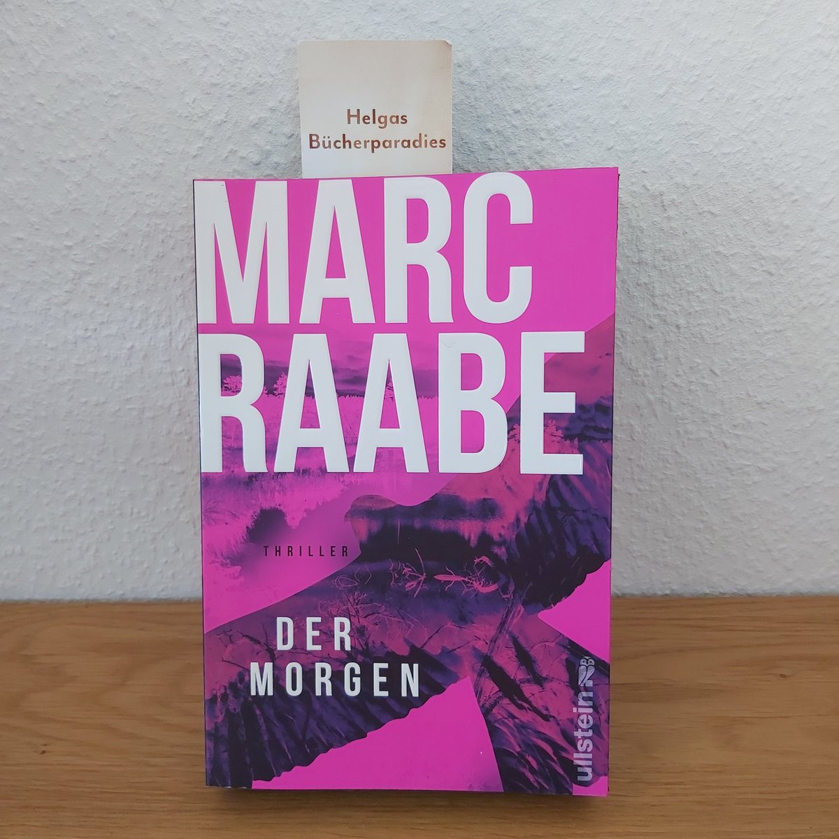 helgasbuecher's tweet photo. Heute möchte ich euch meine Meinung zum neuen Thriller von Marc Raabe mitteilen https://t.co/2O28FzMH7t #Buchblogger  #rezensionen #bookstagram #lesen #Buch #lesen  #frauenlesen  #Thriller #marcraabe #ullsteinbuchverlage https://t.co/4lWG0KG9T1