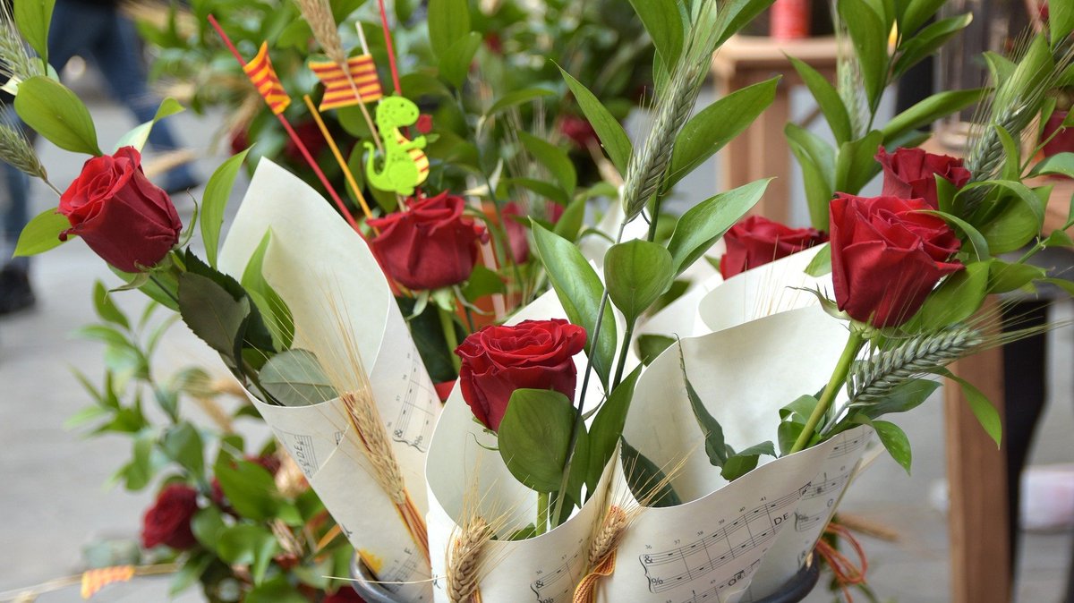 casesrurals's tweet photo. Bona diada de Sant Jordi! https://t.co/DvDOOpkhin