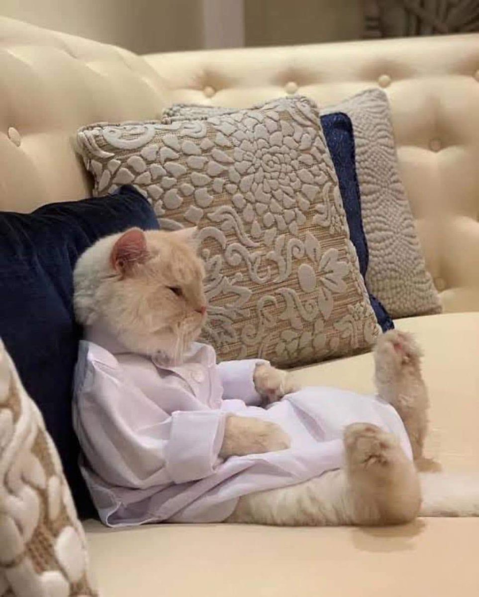 iam_adanx's tweet photo. Eid Day 2 going like : https://t.co/IgImNXOnx3