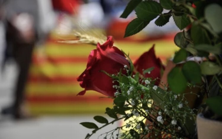 jorditurull's tweet photo. Molt bona #Diada de #SantJordi2023
Roses i llibres 🌹📖
Amor i cultura ❤️📚
Tradicions i País 🎉⛰️
Compromís i llibertat 🎗️🎗️ https://t.co/uGebsjppQG