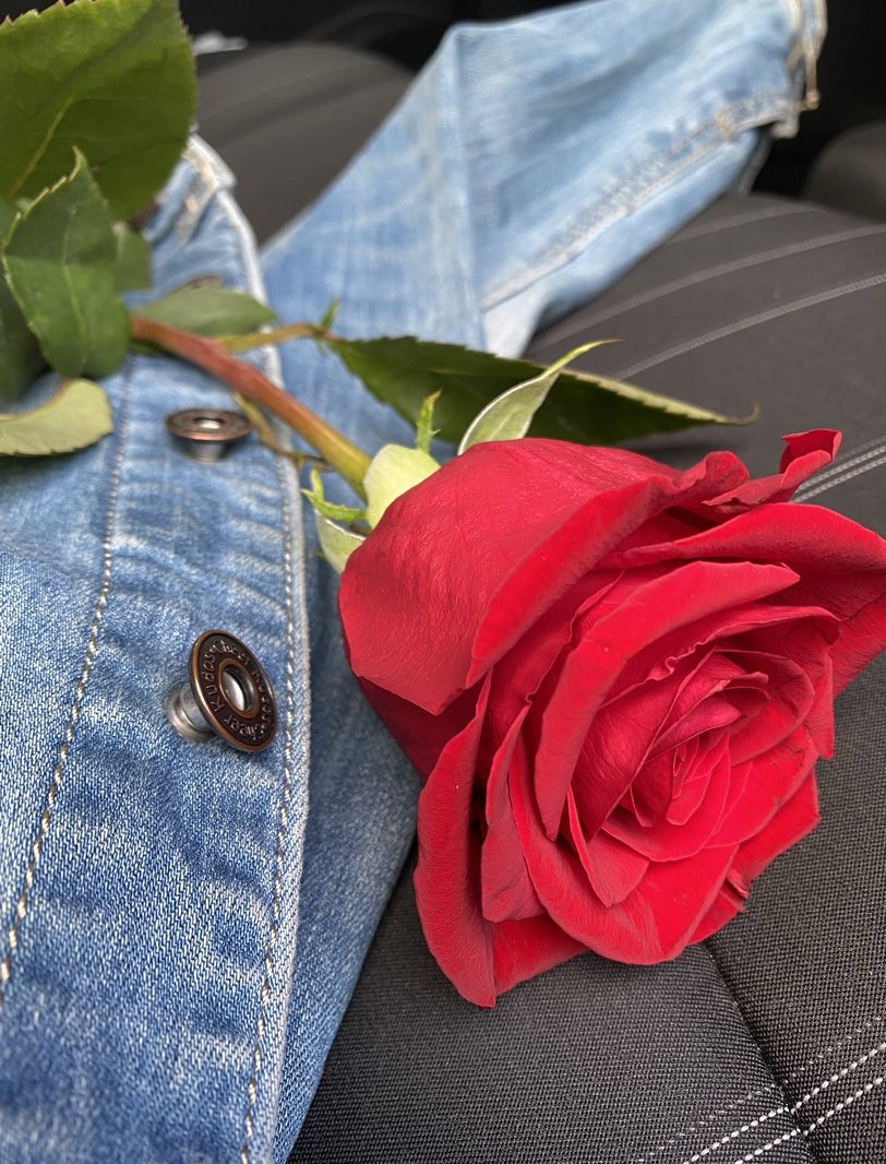 Bona diada! Feliç St. Jordi