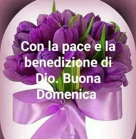 mag_gy62's tweet photo. Buona domenica 🌸 https://t.co/MbRsBNLWAS