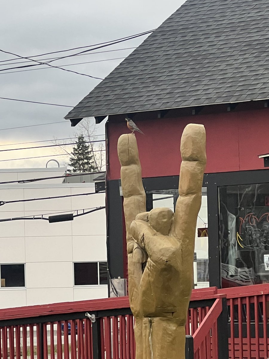 crewsoundersfan's tweet photo. Day #196 Running Streak
Welcome home!!! I ran in 7 states in 7 days. Washington, Massachusetts, Connecticut, Rhode Island, Maine, New Hampshire, and Vermont. #Run #funruns https://t.co/KrsBkK4Ctn