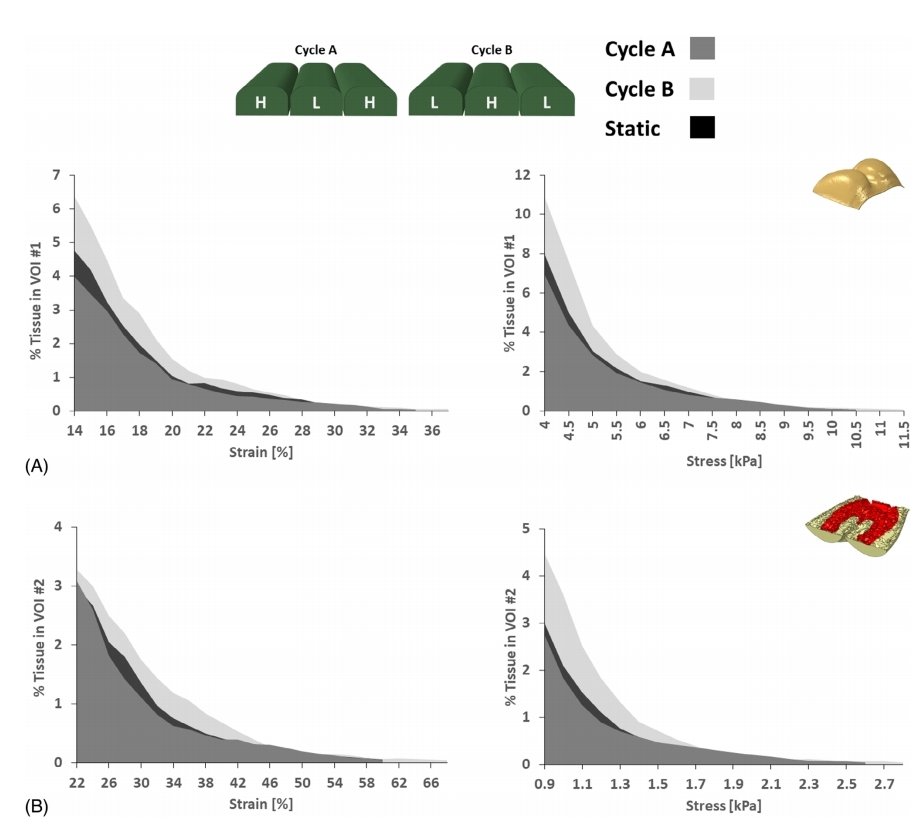 Quantifying the protective efficacy of alternating pressure support surfaces in #PressureUlcer #prevention is possible using advanced #bioengineering #computer #modeling, our latest <a href="/IntWoundJournal/">International Wound Journal</a> #OpenAccess #article reports:

doi.org/10.1111/iwj.14…

<a href="/EPUAP1/">EPUAP</a>
<a href="/dhg_healthcare/">DHG UK</a>